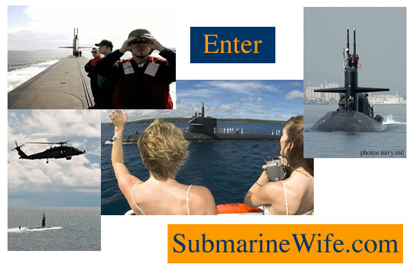 Enter our new home at MyMilitaryLife.com